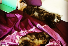 Pets boost kids self-esteem, immunity