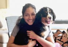 Convenient for you, comfortable for your pet