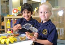 Ideas should be nurtured, not overlooked