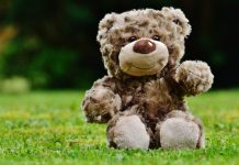 Teddy Bears picnic – Online