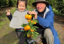 Fruit picking + tasting – Rayner’s Orchard