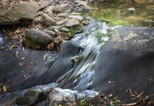 Local picnic spots: Being a tourist in your own suburb!