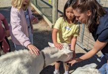 RSPCA offers school holiday fun for young animal lovers