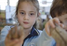 Learning and discovery through STEM