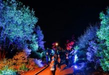 A dazzling journey through light and art