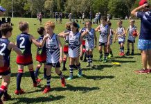 Monkey see, monkey do warning