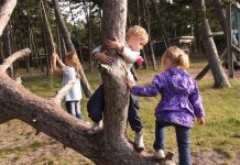 Embracing nature through bush kinder